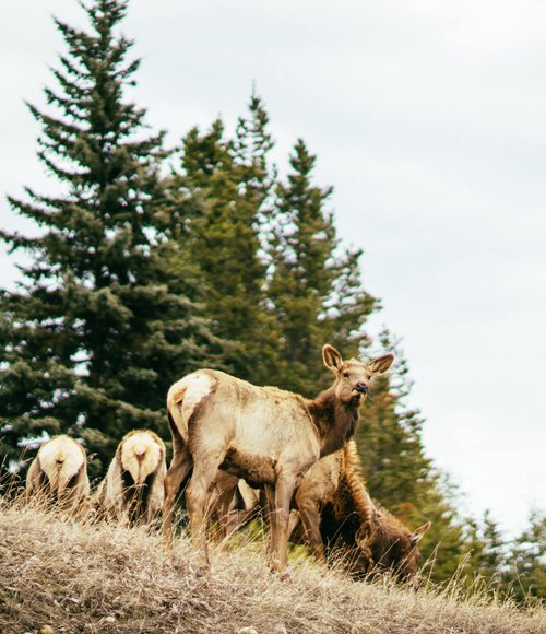 Small Book online to save some time! Image