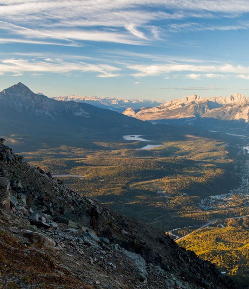 Small Groups and Agents Image